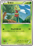 Arcko 107/XY-P — XY-P Promotional — Carte Pokémon Japonaise