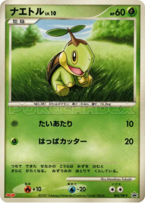 Tortipouss 005/DP-P — DP-P Promotional — Carte Pokémon Japonaise
