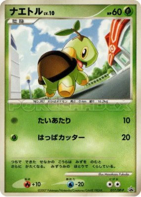 Tortipouss 017/DP-P — DP-P Promotional — Carte Pokémon Japonaise