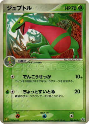Massko 081/PCG-P — PCG-P Promotional — Carte Pokémon Japonaise