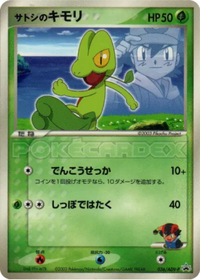 Arcko de Sacha 036/ADV-P — ADV-P Promotional — Carte Pokémon Japonaise
