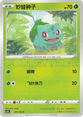 Carapuce 012/066 — Chinese Exclusive — Carte Pokémon Japonaise