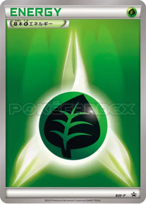 Énergie Plante BW-P — BW-P Promotional — Carte Pokémon Japonaise
