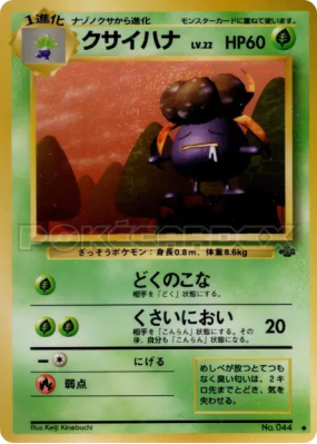 Ortide — — Pokémon Jungle — Carte Pokémon Japonaise