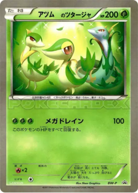 Vipélierre de _____ / — Jumbo — Carte Pokémon Japonaise