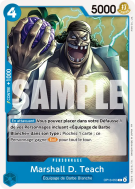 Carte One Piece Marshall D. Teach OP13-053 C