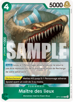Carte One Piece Maître des lieux OP11-028 R