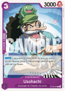 Carte One Piece Usohachi ST18-001 C PRB02