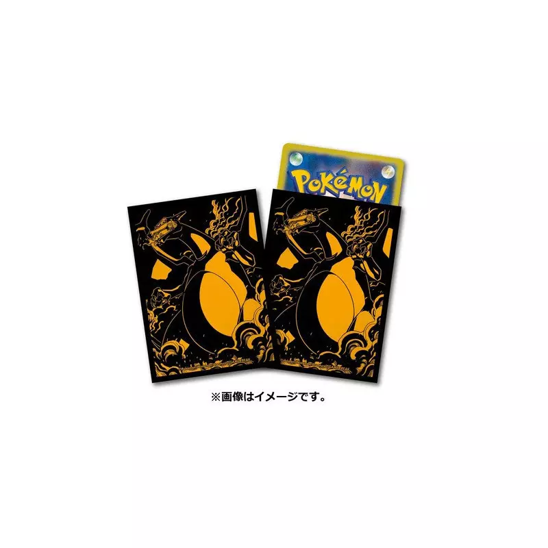 Protèges-cartes Dracaufeu Pokémon