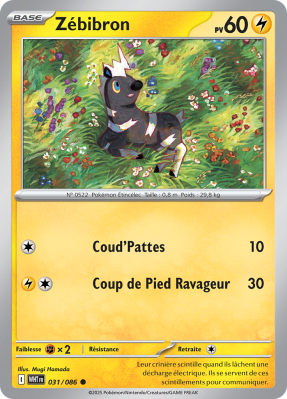 Carte Pokémon Zébibron 031/086 Commune Flamme Blanche