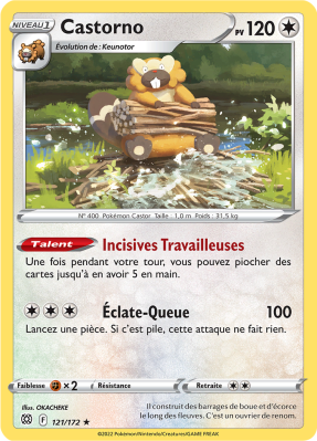 Carte Pokémon Castorno 121/172 Holographique Stars Étincelantes