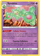 Carte Pokémon Symbios 078/195 Holographique Tempête Argentée