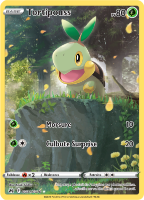 Carte Pokémon Tortipouss GG31/GG70 Trainer Gallery Zénith Suprême