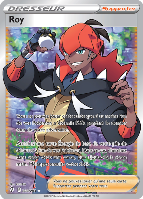 Carte Pokémon Roy 202/203 Ultra Rare Évolution Céleste