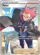 Carte Pokémon Peter 192/195 Ultra Rare Tempête Argentée