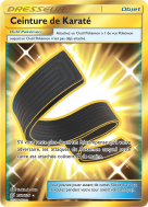 Carte Pokémon Ceinture de Karaté 252/236 Gold Harmonie des Esprits