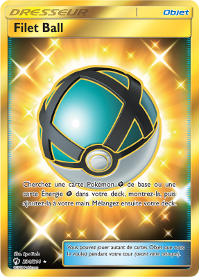 Carte Pokémon Filet Ball 234/214 Gold Tonnerre Perdu