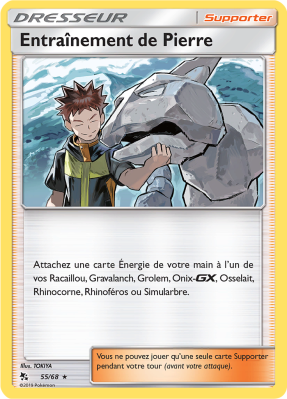 Carte Pokémon Entraînement de Pierre 55/68 Holographique Destinées Occultes