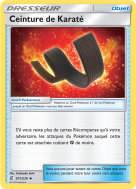 Carte Pokémon Ceinture de Karaté 201/236 Peu commune Harmonie des Esprits