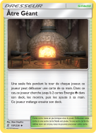 Carte Pokémon Âtre Géant 197/236 Peu commune Harmonie des Esprits