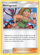 Carte Pokémon Montagnard 133/168 Peu commune Tempête Céleste