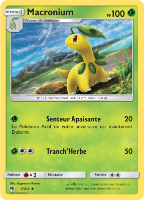Carte Pokémon Macronium 7/214 Peu commune Tonnerre Perdu