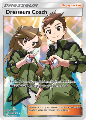 Carte Pokémon Dresseurs Coach 233/236 Ultra Rare Harmonie des Esprits