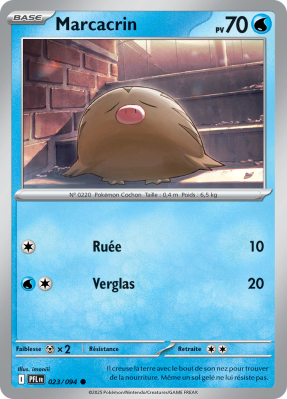 Carte Pokémon Marcacrin 023/094 Commune Flammes Fantasmagoriques