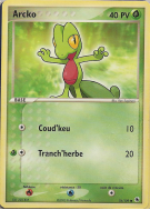 Carte Pokémon Arcko 76/109 Commune Rubis & Saphir