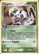 Carte Pokémon Tengalice 22/100 Rare Tempête de sable