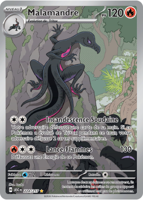 Carte Pokémon Malamandre 224/217 AR Héros Transcendants