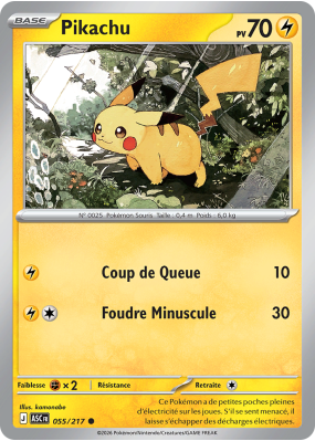 Carte Pokémon Pikachu 055/217 Commune Héros Transcendants