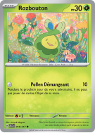 Carte Pokémon Rozbouton 016/217 Commune Héros Transcendants