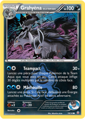 Carte Pokémon Grahyèna de la Team Aqua 18/34 Commune Double Danger