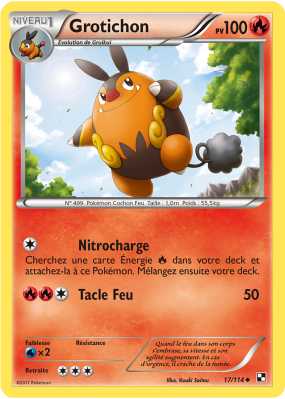Carte Pokémon Grotichon 17/114 Peu commune Noir & Blanc (JCC)