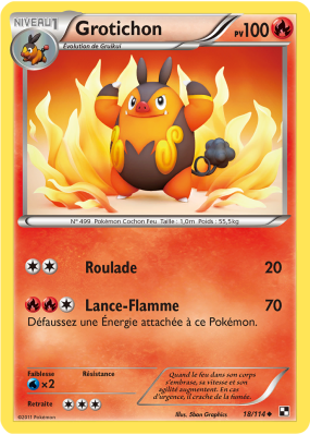 Carte Pokémon Grotichon 18/114 Peu commune Noir & Blanc (JCC)