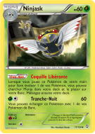 Carte Pokémon Ninjask 11/124 Peu commune Dragons Exaltés