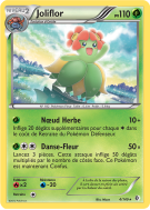 Carte Pokémon Joliflor 4/149 Rare Frontières Franchies