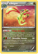 Carte Pokémon Libégon 99/149 Holographique Frontières Franchies
