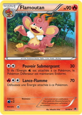 Carte Pokémon Flamoutan 19/98 Rare Pouvoirs Émergents
