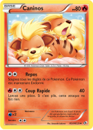Carte Pokémon Caninos RC4/RC25 Peu commune Trésors Légendaires