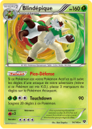 Carte Pokémon Blindépique 14/146 Holographique XY (JCC)