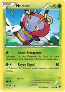 Carte Pokémon Muciole 8/146 Peu commune XY (JCC)