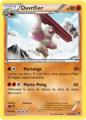 Carte Pokémon Ouvrifier 66/146 Peu commune XY (JCC)