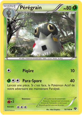Carte Pokémon Pérégrain 16/146 Peu commune XY (JCC)