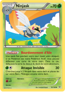 Carte Pokémon Ninjask 10/108 Peu commune Ciel Rugissant