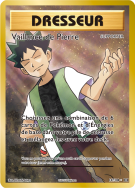 Carte Pokémon Vaillance de Pierre 107/108 Ultra Rare Évolutions