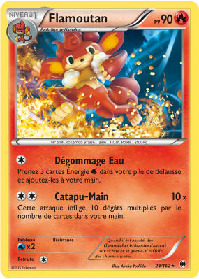 Carte Pokémon Flamoutan 24/162 Rare Impulsion TURBO