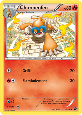 Carte Pokémon Chimpenfeu 19/114 Peu commune Offensive Vapeur