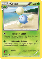 Carte Pokémon Cotovol 5/114 Rare Offensive Vapeur